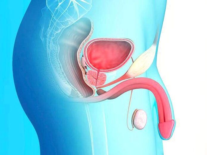 Penis a seng Verlängerung duerch Chirurgie
